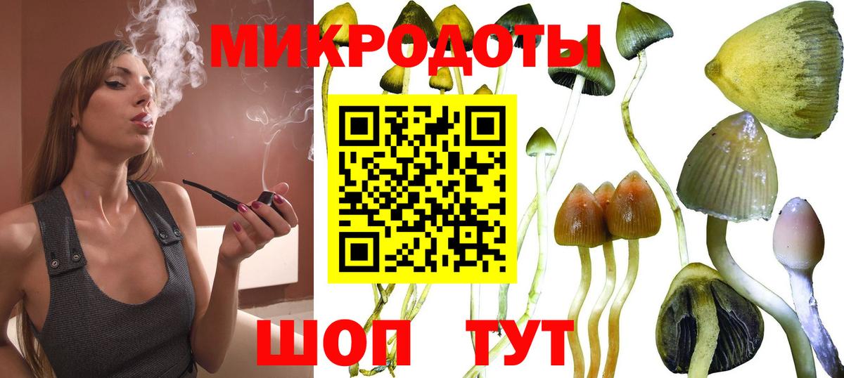 Галлюциногенные грибы прущие грибы  Галлюциногенные грибы Cubensis  как найти закладки  Вход с VPN  Каспийск 